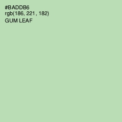 #BADDB6 - Gum Leaf Color Image