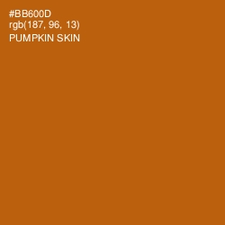 #BB600D - Pumpkin Skin Color Image