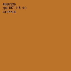 #BB7329 - Copper Color Image