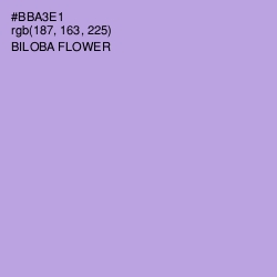 #BBA3E1 - Biloba Flower Color Image