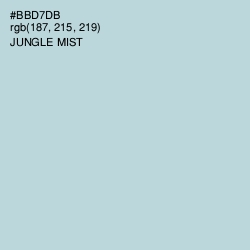 #BBD7DB - Jungle Mist Color Image