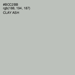 #BCC2BB - Clay Ash Color Image