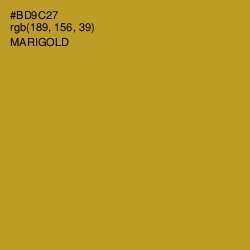 #BD9C27 - Marigold Color Image