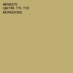 #BDAD70 - Mongoose Color Image
