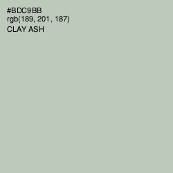 #BDC9BB - Clay Ash Color Image