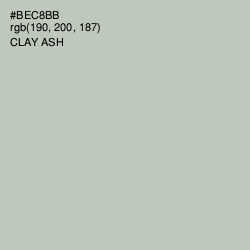#BEC8BB - Clay Ash Color Image