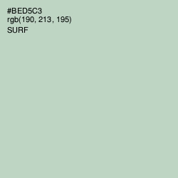#BED5C3 - Surf Color Image