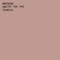 #BF9A90 - Thatch Color Image