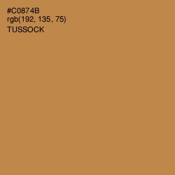 #C0874B - Tussock Color Image