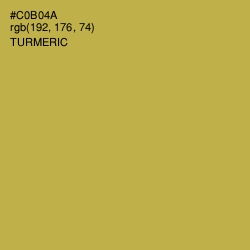 #C0B04A - Turmeric Color Image