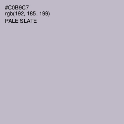 #C0B9C7 - Pale Slate Color Image