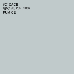 #C1CACB - Pumice Color Image