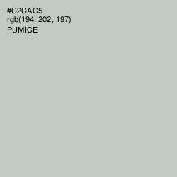 #C2CAC5 - Pumice Color Image