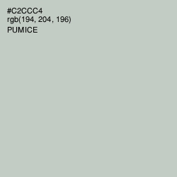 #C2CCC4 - Pumice Color Image