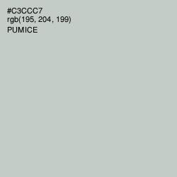 #C3CCC7 - Pumice Color Image