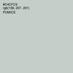 #C4CFC9 - Pumice Color Image