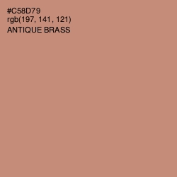 #C58D79 - Antique Brass Color Image