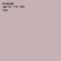 #C5B2B4 - Tea Color Image