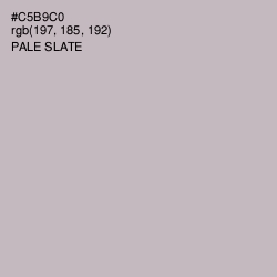 #C5B9C0 - Pale Slate Color Image