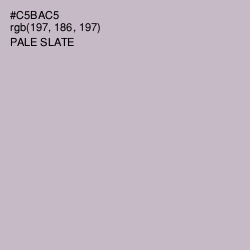 #C5BAC5 - Pale Slate Color Image