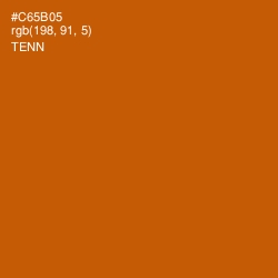 #C65B05 - Tenn Color Image
