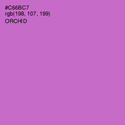 #C66BC7 - Orchid Color Image