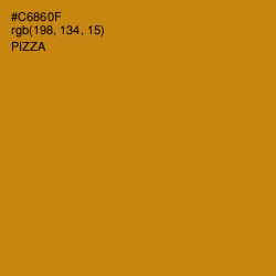 #C6860F - Pizza Color Image