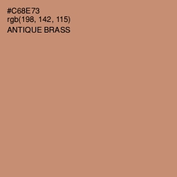 #C68E73 - Antique Brass Color Image