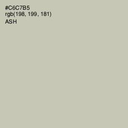 #C6C7B5 - Ash Color Image