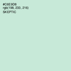 #C6E9D8 - Skeptic Color Image