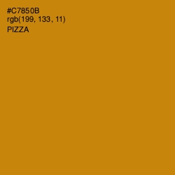 #C7850B - Pizza Color Image