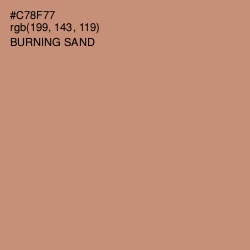 #C78F77 - Burning Sand Color Image