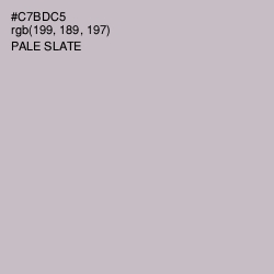#C7BDC5 - Pale Slate Color Image