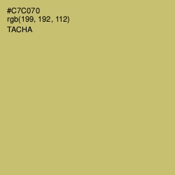 #C7C070 - Tacha Color Image