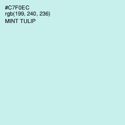 #C7F0EC - Mint Tulip Color Image