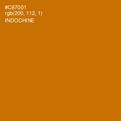 #C87001 - Indochine Color Image