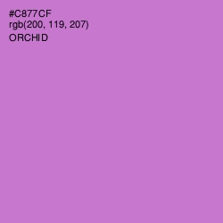 #C877CF - Orchid Color Image