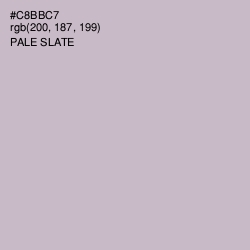 #C8BBC7 - Pale Slate Color Image