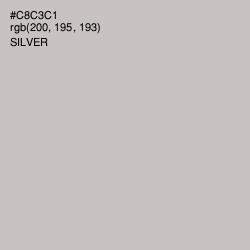 #C8C3C1 - Silver Color Image