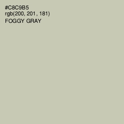 #C8C9B5 - Foggy Gray Color Image