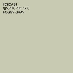 #C8CAB1 - Foggy Gray Color Image