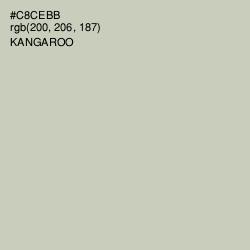 #C8CEBB - Kangaroo Color Image