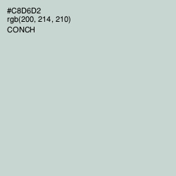 #C8D6D2 - Conch Color Image