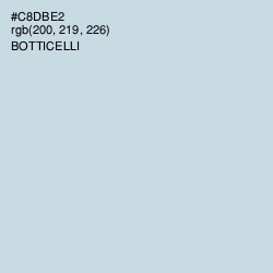 #C8DBE2 - Botticelli Color Image