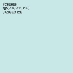 #C8E8E8 - Jagged Ice Color Image