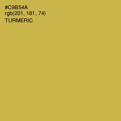 #C9B54A - Turmeric Color Image