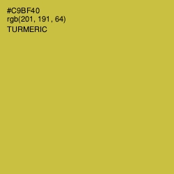 #C9BF40 - Turmeric Color Image