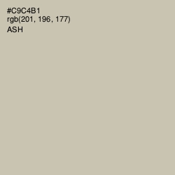 #C9C4B1 - Ash Color Image