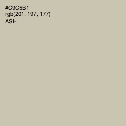 #C9C5B1 - Ash Color Image