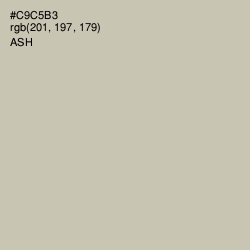 #C9C5B3 - Ash Color Image